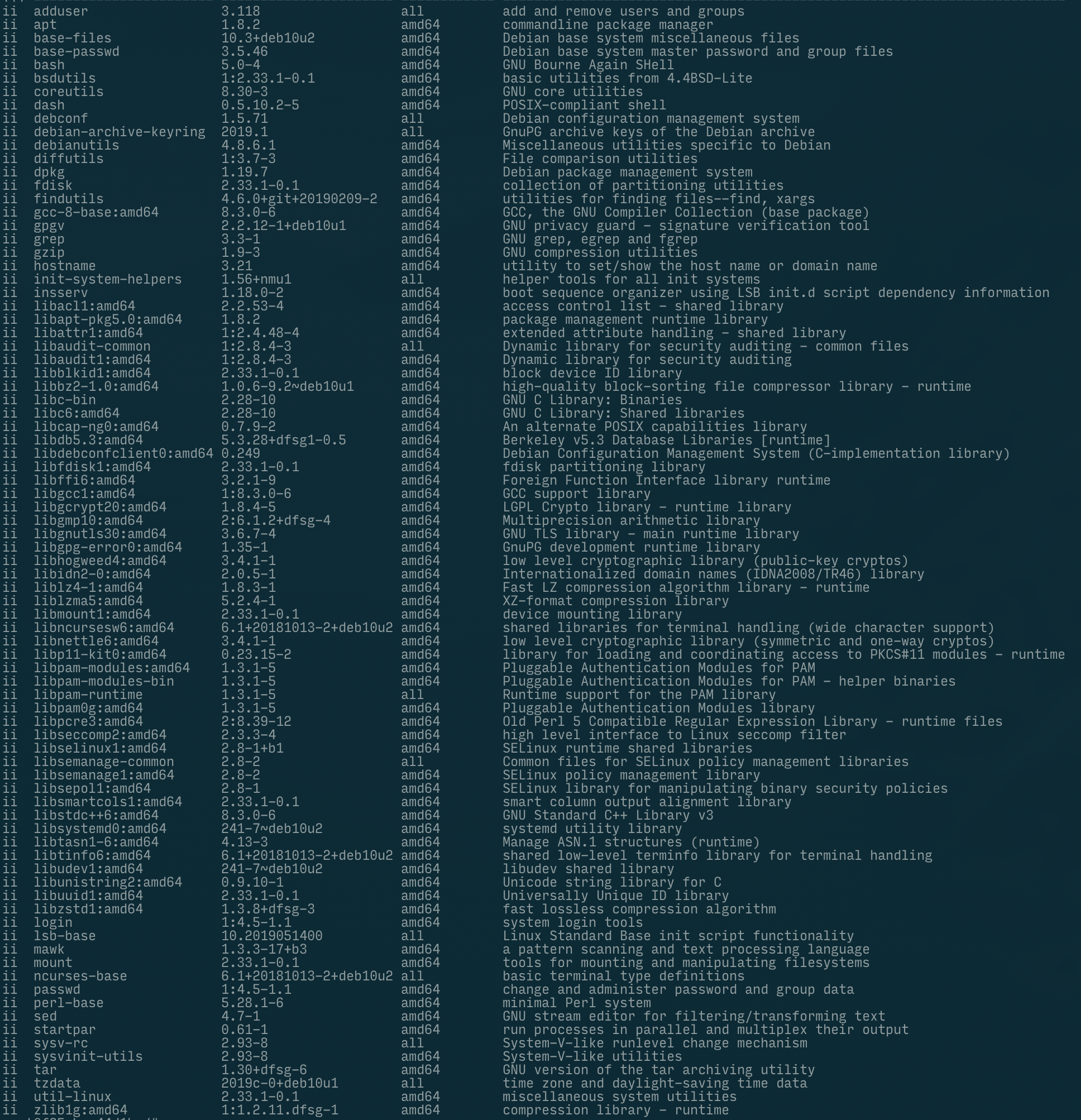 screenshot of minideb package list