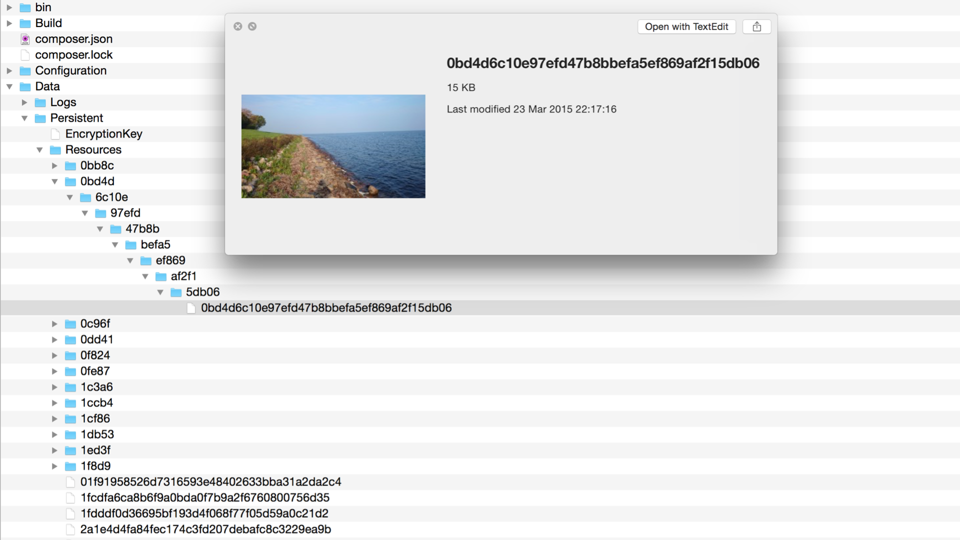 Flow resources storage in a file system